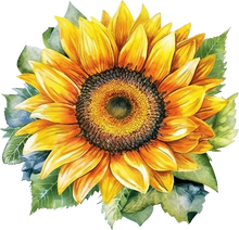 Load image into Gallery viewer, DTF Transfer – Watercolor Sunflower Multi Sizes (FL-SF001)