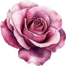 Load image into Gallery viewer, DTF Transfer – IK Pink Rose Multi Sizes