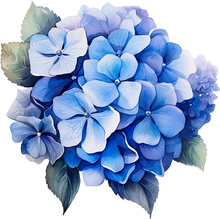 Load image into Gallery viewer, DTF Transfer – Blue Hydrangea Multi Sizes (FL-HY001)