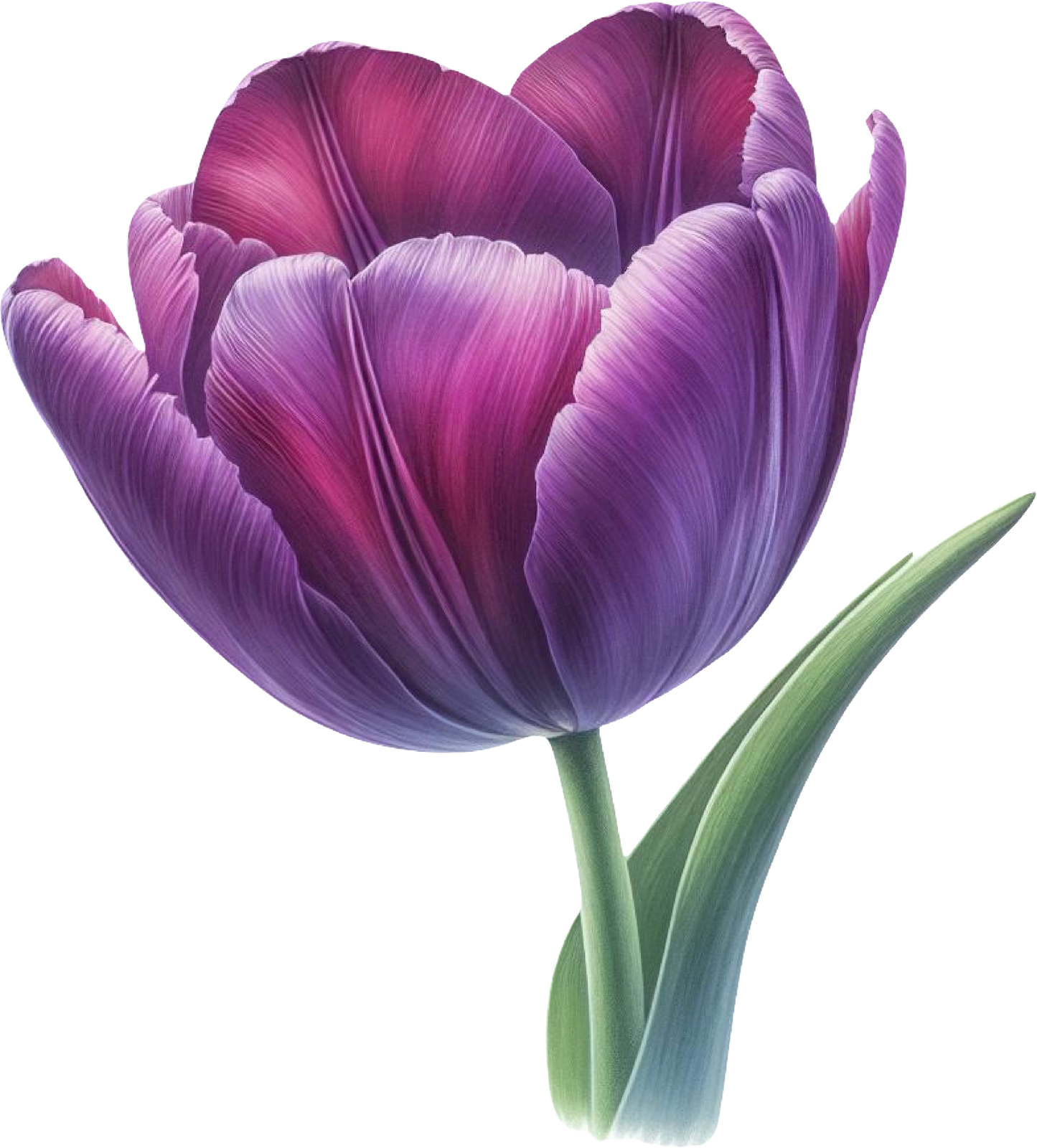 DTF Transfer – Purple Flower Multi Sizes (FL-MI002)