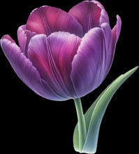 Load image into Gallery viewer, DTF Transfer – Purple Flower Multi Sizes (FL-MI002)