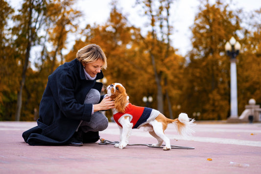 Great Fall Customized Gifts for the Dog Lover in You - Get Things Printed  INC