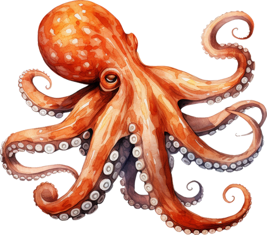 DTF Transfer – Watercolor Octopus Multi Sizes (AN-OC001)