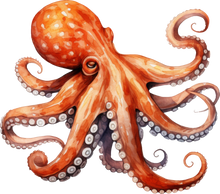 Load image into Gallery viewer, DTF Transfer – Watercolor Octopus Multi Sizes (AN-OC001)
