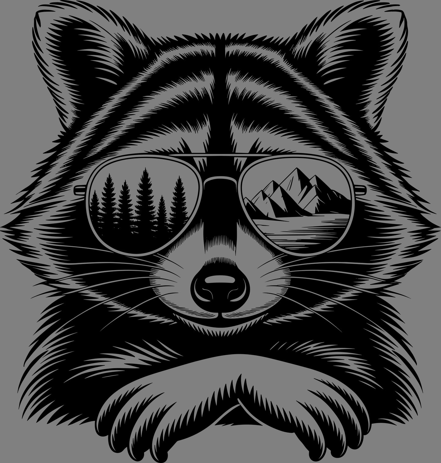 DTF Transfer – BO Chill Raccoon Multi Sizes