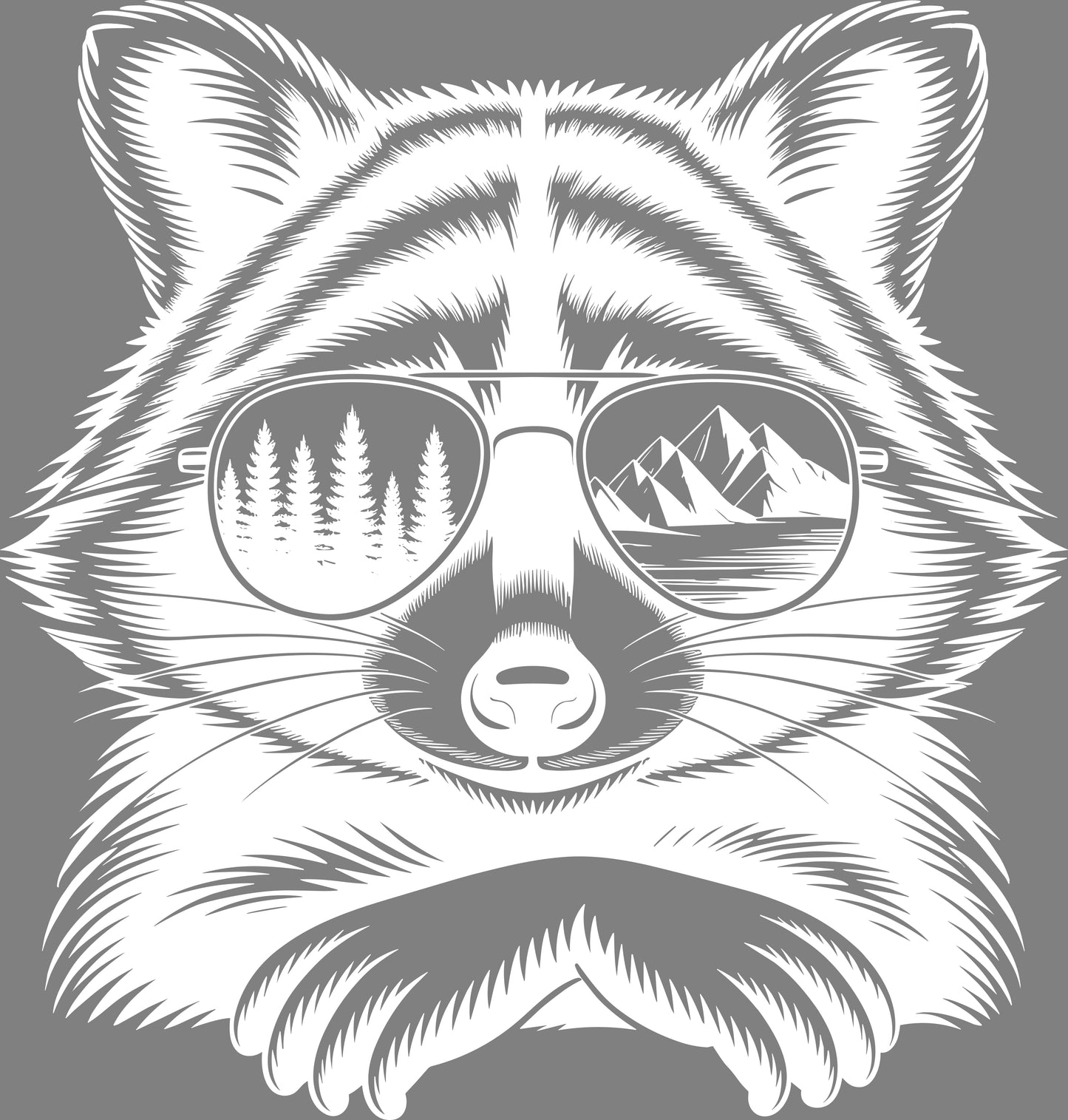 DTF Transfer – BO Chill Raccoon Multi Sizes
