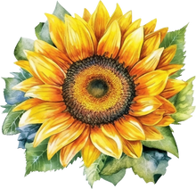 Load image into Gallery viewer, DTF Transfer – Watercolor Sunflower Multi Sizes (FL-SF001)
