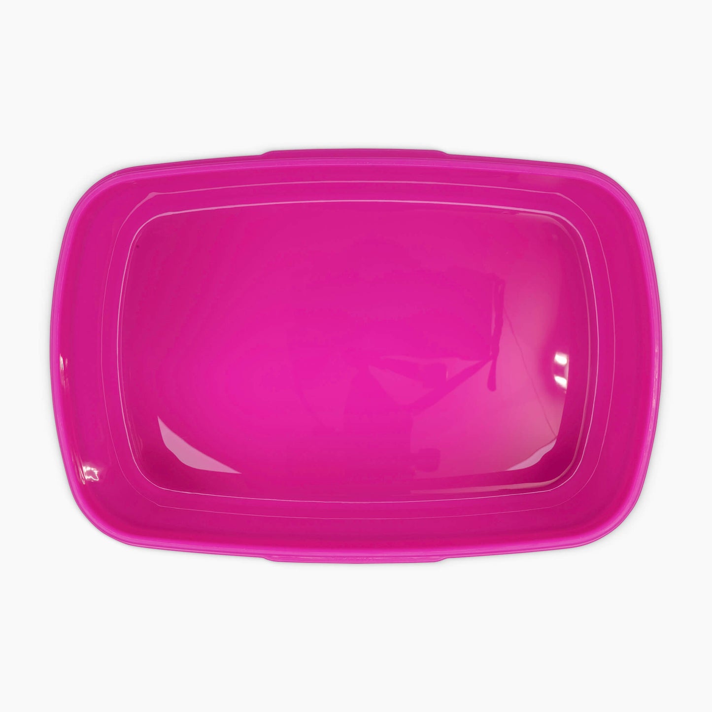 PINK KIDS PLASTIC LUNCH BOX - Get Things Printed INC